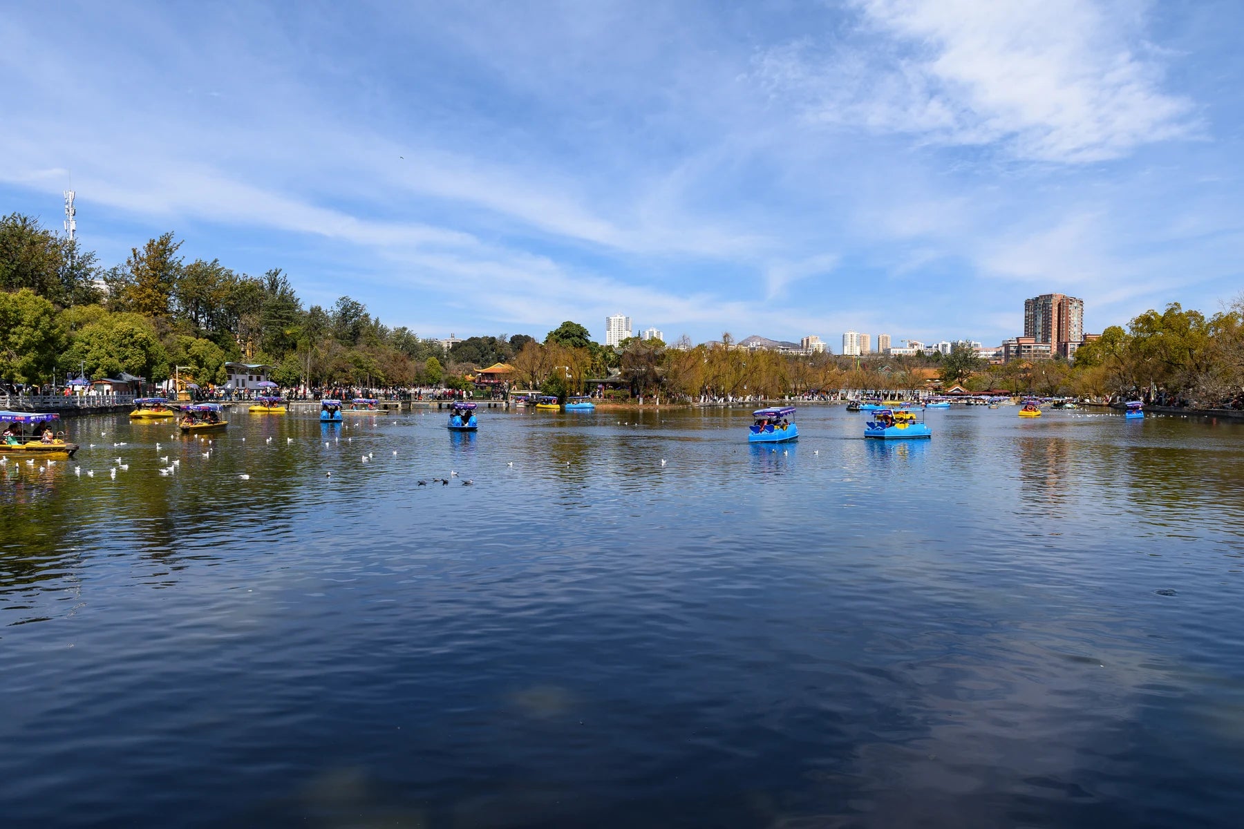 Southwest part of Cuihu Park, Kunming (20240214121712)