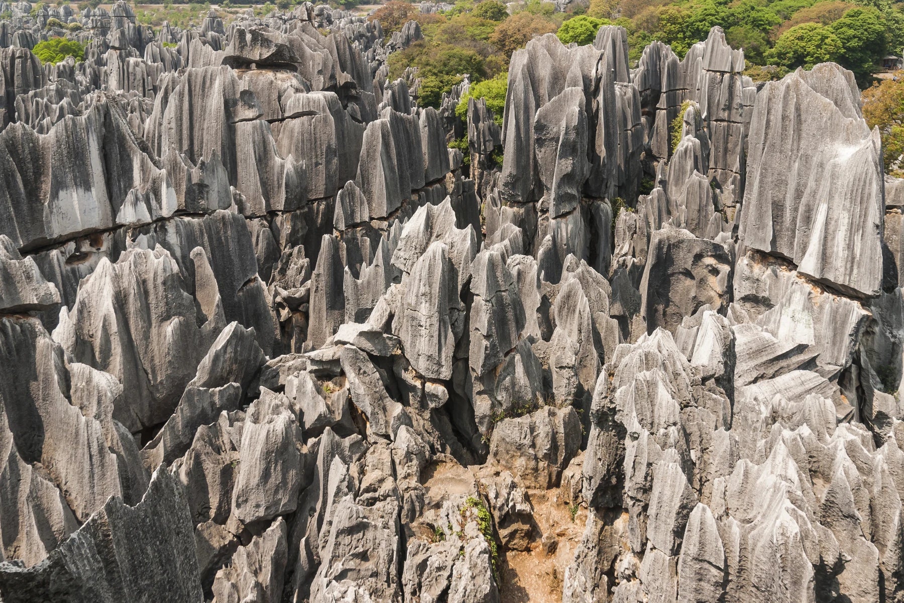 Shilin Yunnan China Shilin-Stone-Forest-03