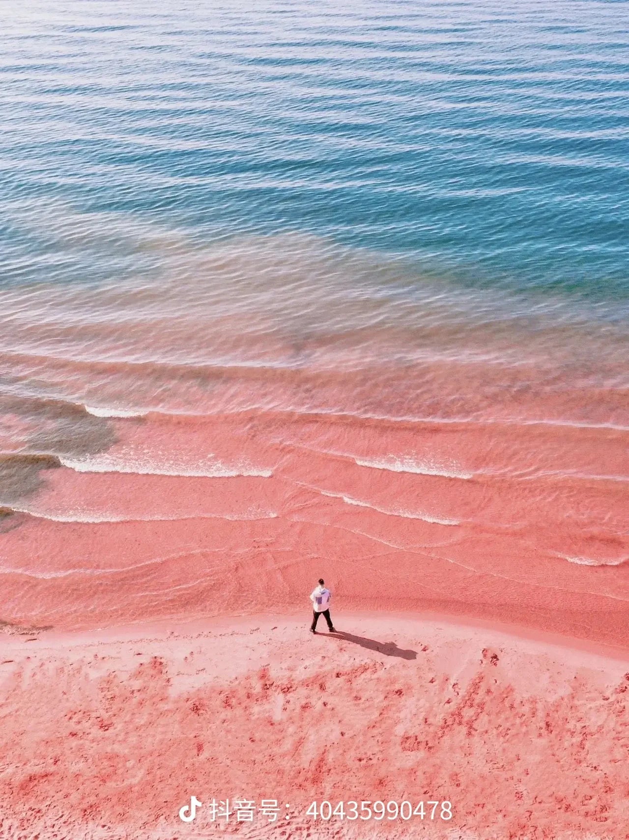 Pink shoreline at Fuxian Lake