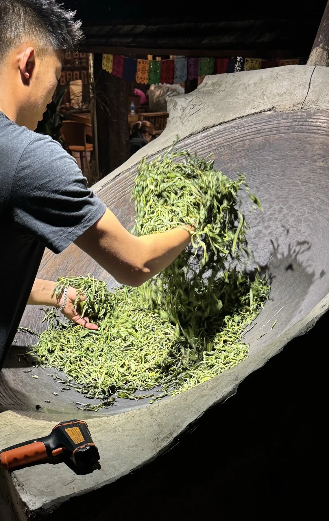 Hand-processing tea in Jingmai