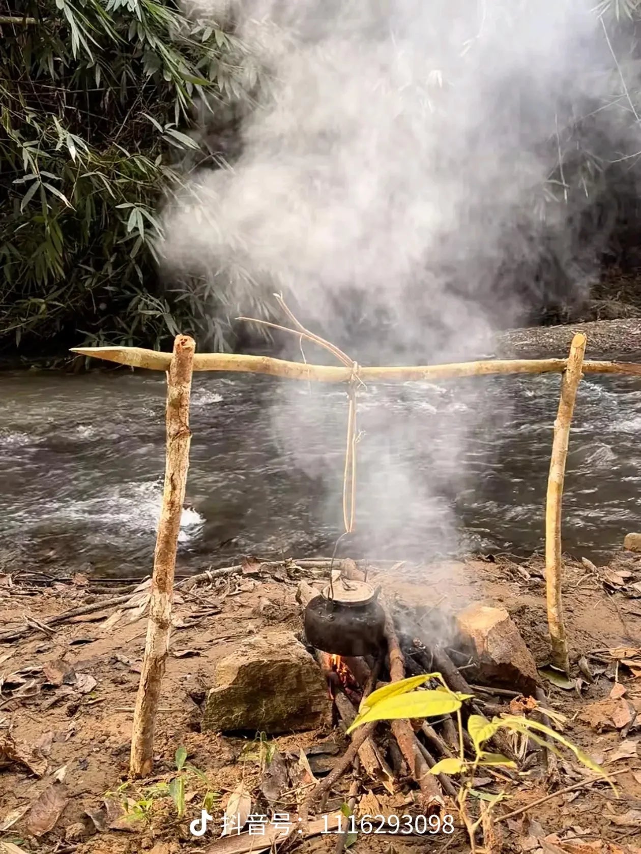 Bamboo cooking over a fire in Jingmai