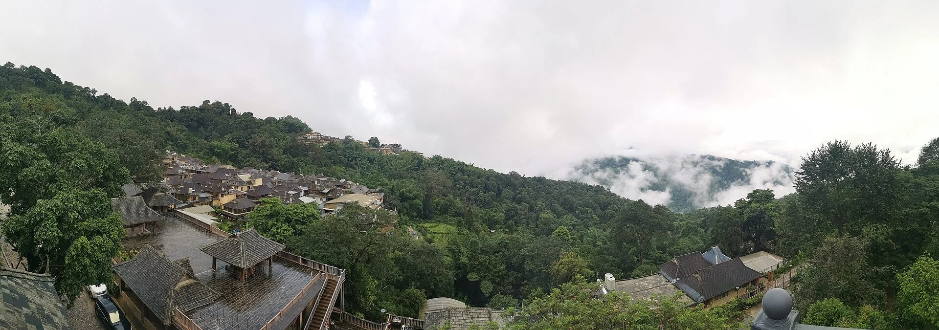 Tropical rainforest in Xishuangbanna