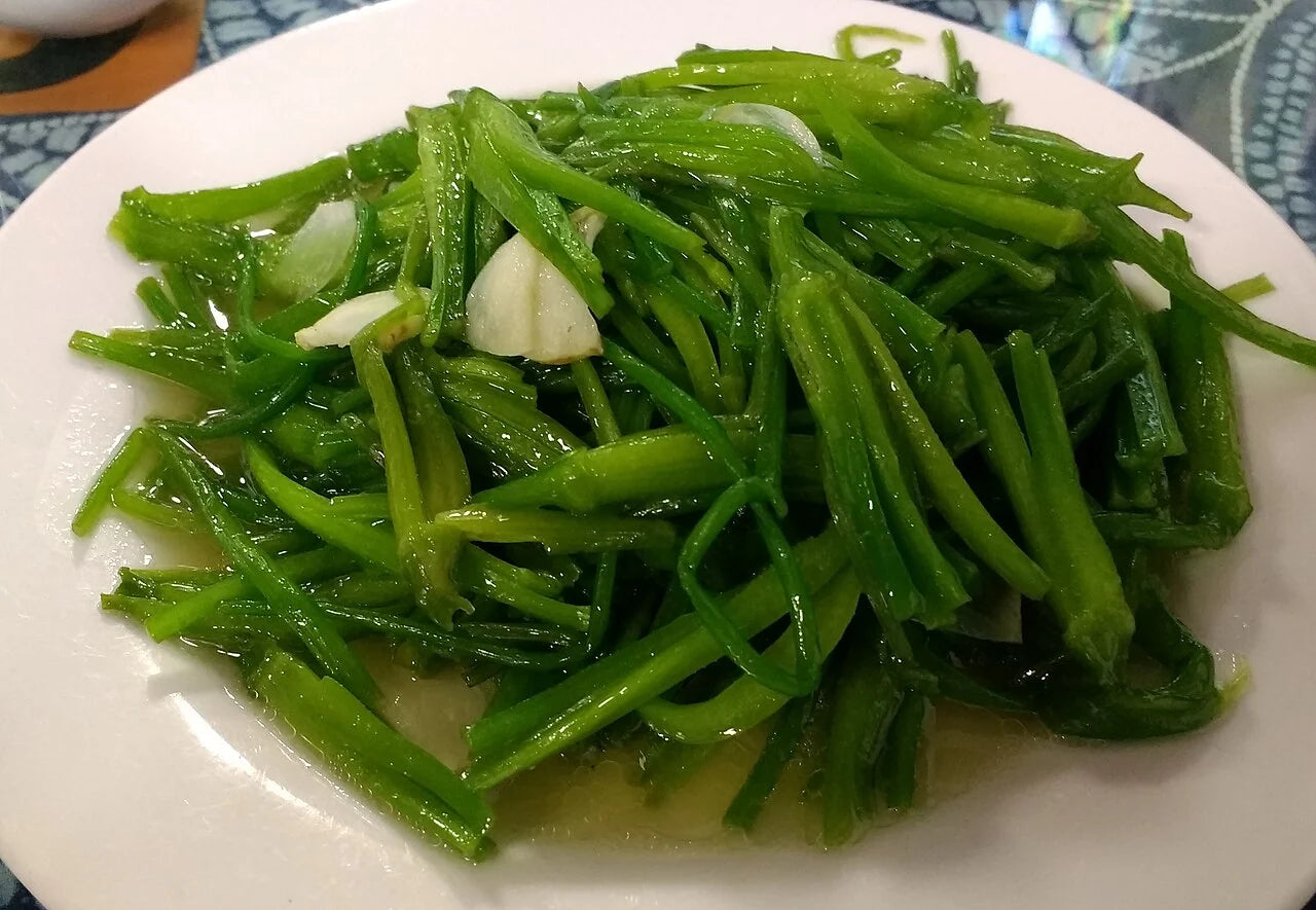 水性杨花