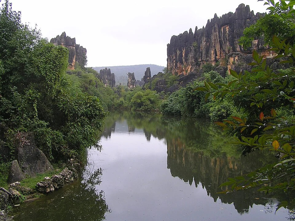 Naigu Stone Forrest - panoramio