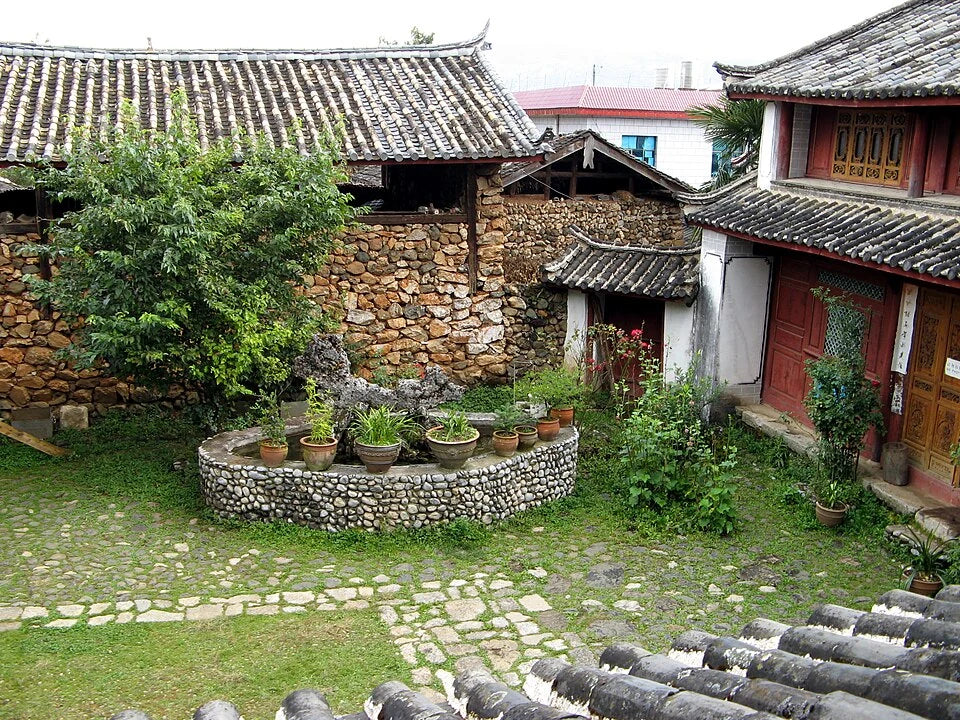 Lijiang Oct 2007 232