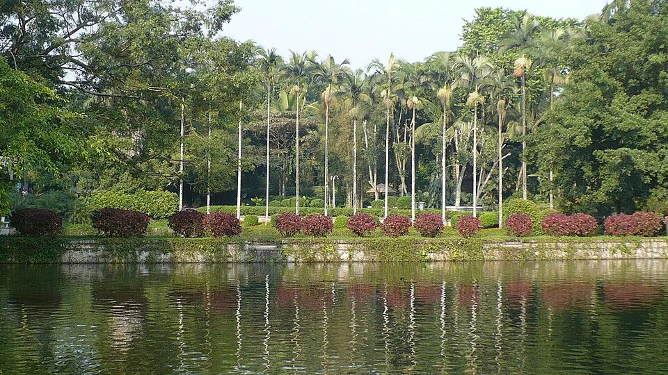 Tropical Botanical Garden, Xishuangbanna - panoramio - Colin W (1)